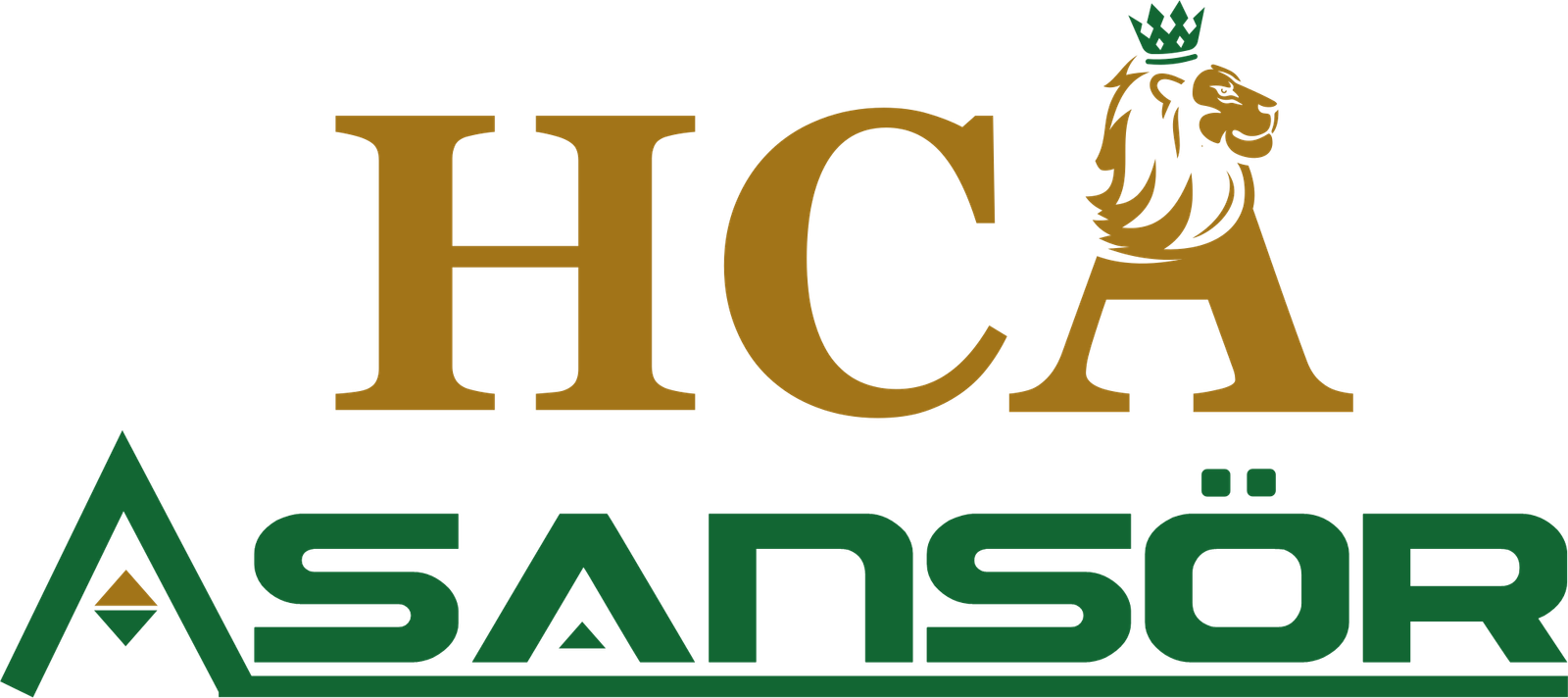 Antalya Engelli Asansör | Antalya Villa Asansör | ☎️ 0530 781 39 18